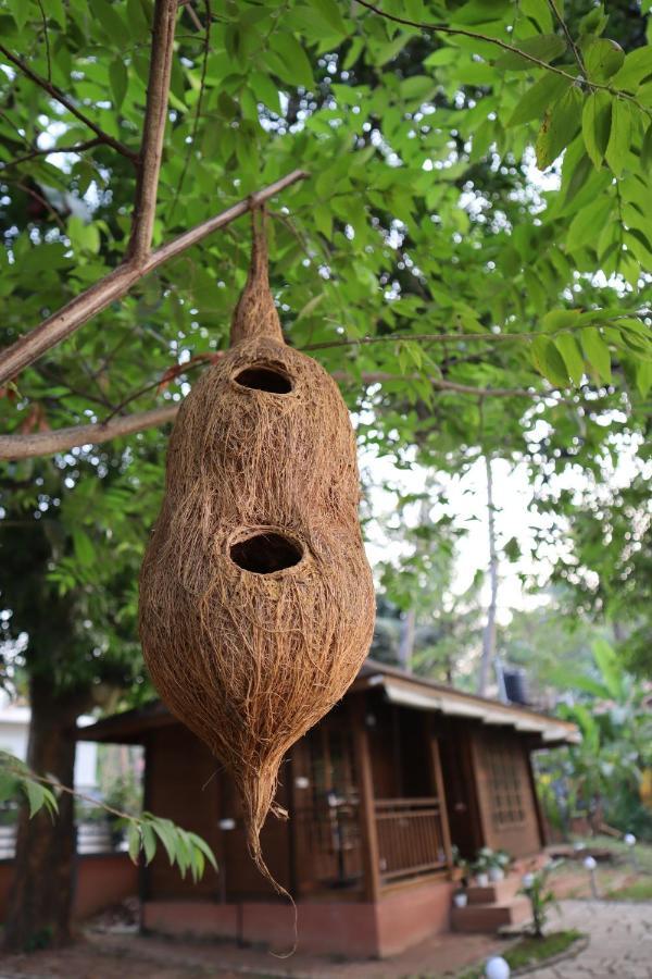 Greenchromide Homestays Mundrothuruth Экстерьер фото